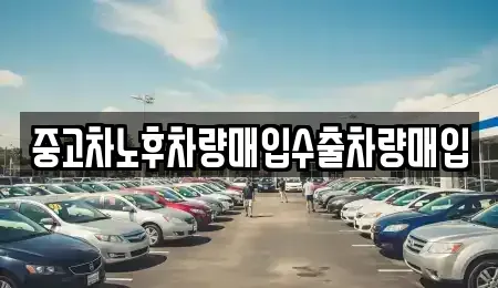 경기도 성남시 분당구 판교동 중고차매입 전문 중고차노후차량매입수출차량매입