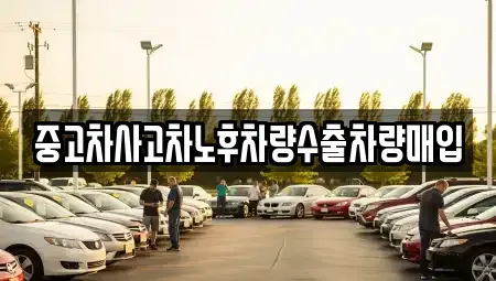 경기도 성남시 분당구 판교동 중고차매입 전문 중고차사고차노후차량수출차량매입