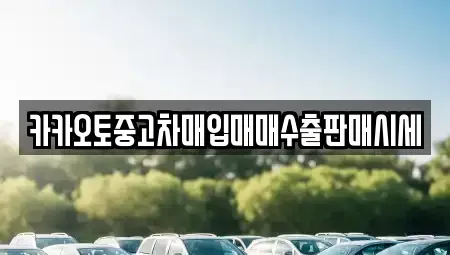 경기도 성남시 분당구 판교동 중고차매입 전문 카카오토중고차매입매매수출판매시세