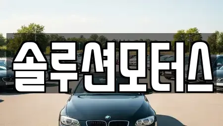 경기도 성남시 수정구 복정동 단기렌트카 전문 솔루션모터스