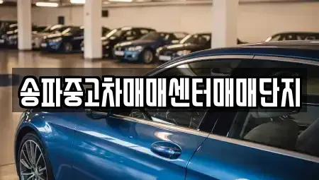 경기도 성남시 수정구 복정동 중고차 전문 송파중고차매매센터매매단지