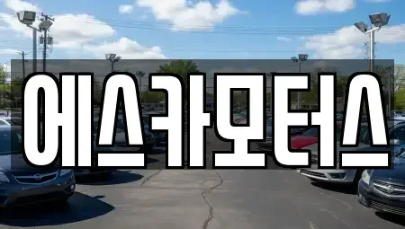 경기도 성남시 수정구 복정동 중고차 전문 에스카모터스