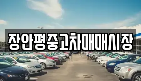 경기도 성남시 수정구 복정동 중고차 전문 장안평중고차매매시장