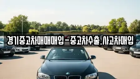 경기도 성남시 수정구 복정동 중고차매입 전문 경기중고차매매매입-중고차수출.사고차매입