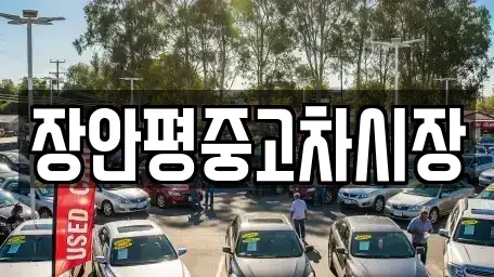 경기도 성남시 중원구 갈현동 중고차 전문 장안평중고차시장