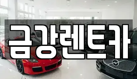 경기도 수원시 장안구 이목동 렌트카 전문 금강렌트카