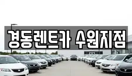 경기도 수원시 장안구 정자동 단기렌트카,중고차매입,중고차매매,중고차,렌트카,장기렌트카