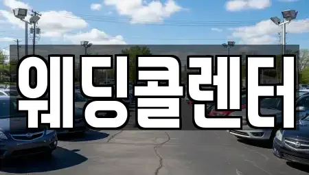 경기도 수원시 장안구 정자동 단기렌트카 전문 웨딩콜렌터