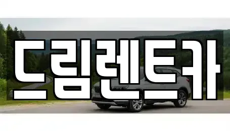 경기도 수원시 장안구 정자동 렌트카 전문 드림렌트카