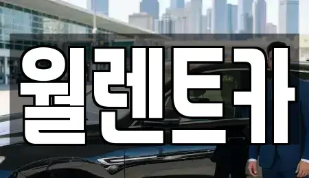 경기도 수원시 장안구 정자동 렌트카 전문 월렌트카