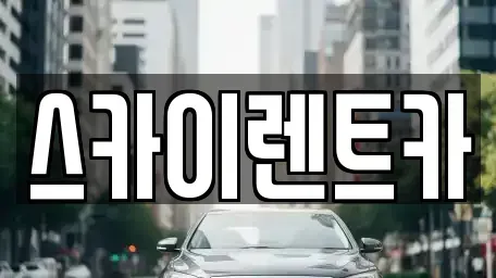 경기도 수원시 장안구 정자동 장기렌트카 전문 스카이렌트카