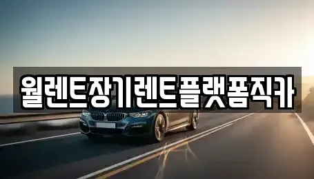 경기도 수원시 장안구 정자동 장기렌트카 전문 월렌트장기렌트플랫폼직카