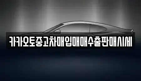 경기도 수원시 장안구 정자동 중고차매입 전문 카카오토중고차매입매매수출판매시세