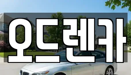경기도 시흥시 계수동 단기렌트카 전문 오드렌카