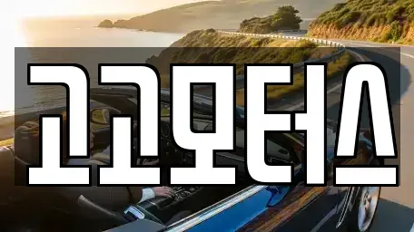 경기도 시흥시 계수동 중고차매매 전문 고고모터스