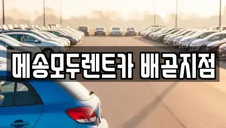 경기도 시흥시 렌트카 전문 메송모두렌트카 배곧지점