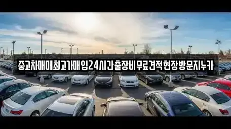 경기도 시흥시 미산동 중고차매입 전문 중고차매매최고가매입24시간출장비무료견적현장방문지누카
