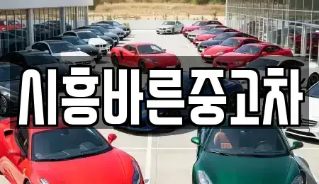 경기도 시흥시 중고차매매,단기렌트카,중고차매입,장기렌트카,중고차,렌트카