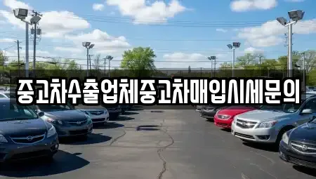 경기도 시흥시 중고차매입 전문 중고차수출업체중고차매입시세문의
