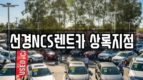 경기도 안산시 상록구 이동 단기렌트카 전문 선경NCS렌트카 상록지점