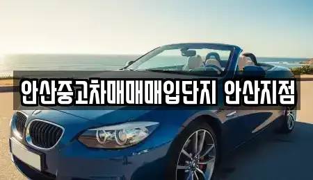 경기도 안산시 상록구 이동 중고차 전문 안산중고차매매매입단지 안산지점