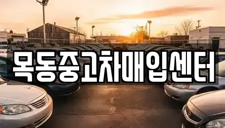 경기도 안산시 상록구 이동 중고차매입 전문 목동중고차매입센터