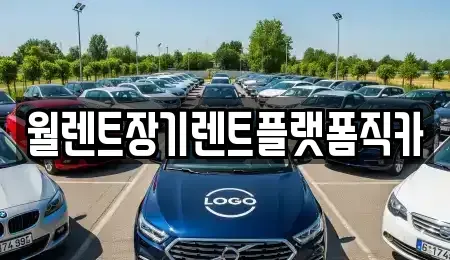 경기도 안성시 금광면 렌트카 전문 월렌트장기렌트플랫폼직카