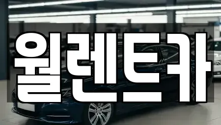 경기도 안성시 금광면 렌트카 전문 월렌트카