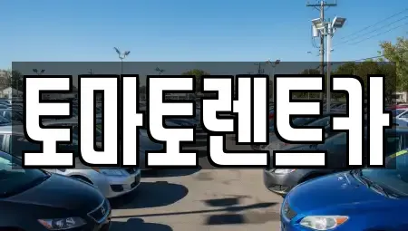 경기도 안성시 금광면 렌트카 전문 토마토렌트카