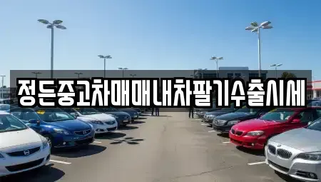 경기도 안성시 금광면 중고차 전문 정든중고차매매내차팔기수출시세