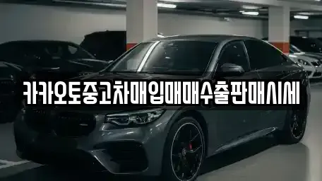 경기도 안성시 금광면 중고차 전문 카카오토중고차매입매매수출판매시세