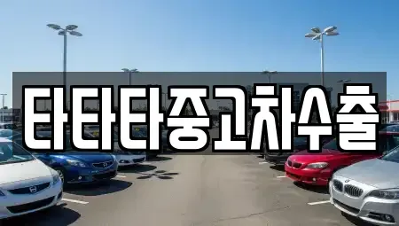 경기도 안성시 금광면 중고차 전문 타타타중고차수출