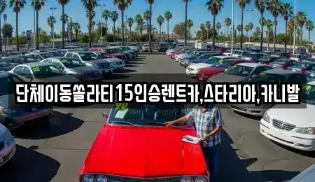 경기도 안성시 금석동 렌트카 전문 단체이동쏠라티15인승렌트카,스타리아,카니발