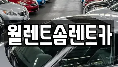 경기도 안성시 금석동 렌트카 전문 월렌트솜렌트카