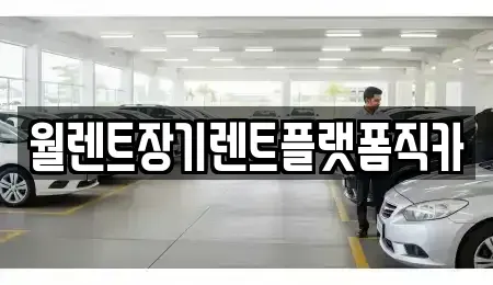 경기도 안성시 금석동 렌트카 전문 월렌트장기렌트플랫폼직카
