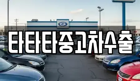 경기도 안성시 금석동 중고차 전문 타타타중고차수출