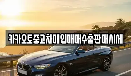 경기도 안성시 금석동 중고차매입 전문 카카오토중고차매입매매수출판매시세