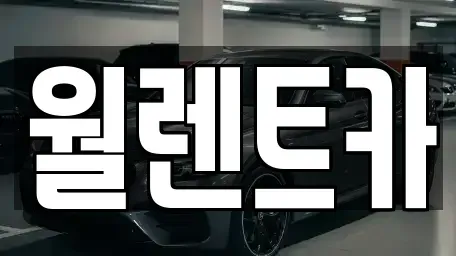 경기도 안성시 봉산동 렌트카 전문 월렌트카