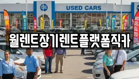경기도 안성시 봉산동 장기렌트카 전문 월렌트장기렌트플랫폼직카