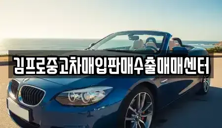 경기도 안성시 봉산동 중고차매입 전문 김프로중고차매입판매수출매매센터
