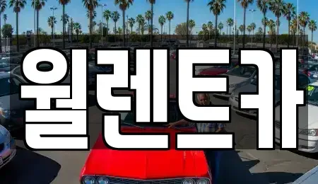 경기도 안성시 신흥동 렌트카 전문 월렌트카