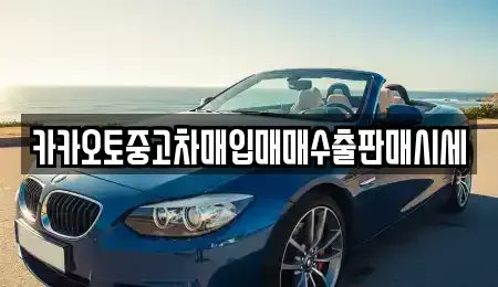 경기도 안성시 신흥동 중고차 전문 카카오토중고차매입매매수출판매시세