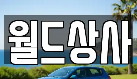 경기도 안성시 신흥동 중고차매매 전문 월드상사