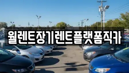 경기도 안성시 옥산동 장기렌트카 전문 월렌트장기렌트플랫폼직카