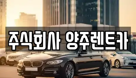 경기도 양주시 덕계동 렌트카 전문 주식회사 양주렌트카