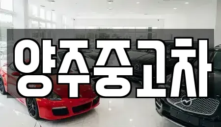 경기도 양주시 덕계동 중고차 전문 양주중고차