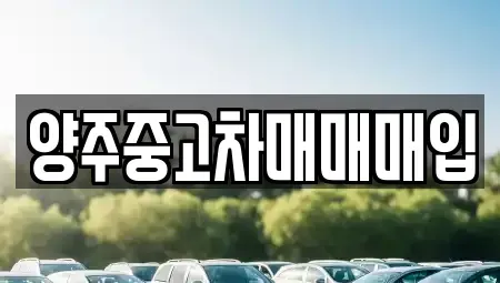 경기도 양주시 덕계동 중고차 전문 양주중고차매매매입