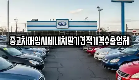 경기도 양주시 덕계동 중고차매입 전문 중고차매입시세내차팔기견적가격수출업체