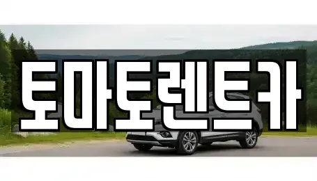 경기도 양주시 만송동 렌트카 전문 토마토렌트카