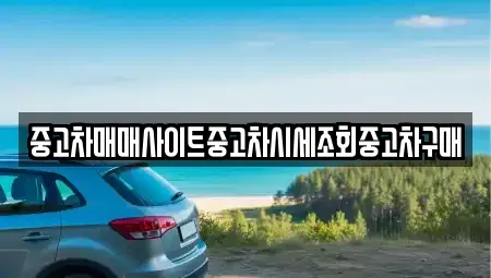 경기도 양주시 만송동 중고차매매 전문 중고차매매사이트중고차시세조회중고차구매